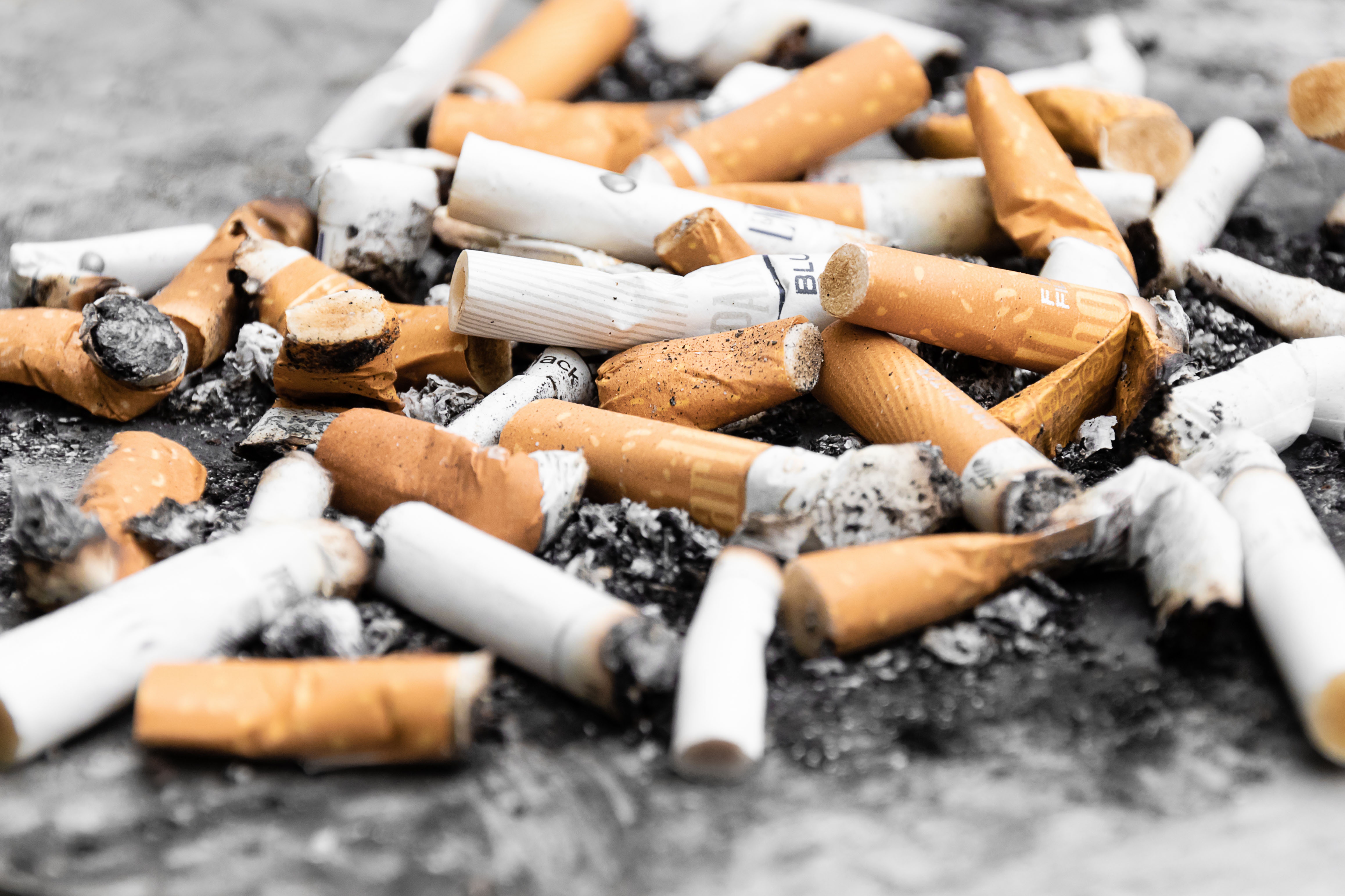 Read more about the article World No Tobacco Day: How Smoking Affects Company Performance
