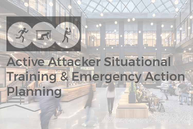 Read more about the article Active Attacker Response Training & Emergency Action Plans